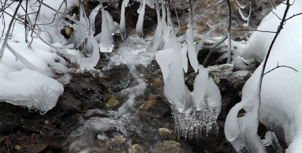 Dripping Icicles in Winter Stream