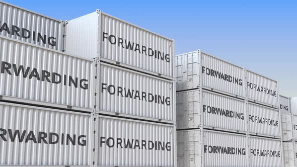 Cargo Containers with FORWARDING Text