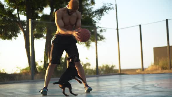 Tall Strong Basketball Player Joyfully Teasing Dog Playing with Ball on Court in Morning Slow Motion