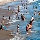 Beach Ambience - AudioJungle Item for Sale