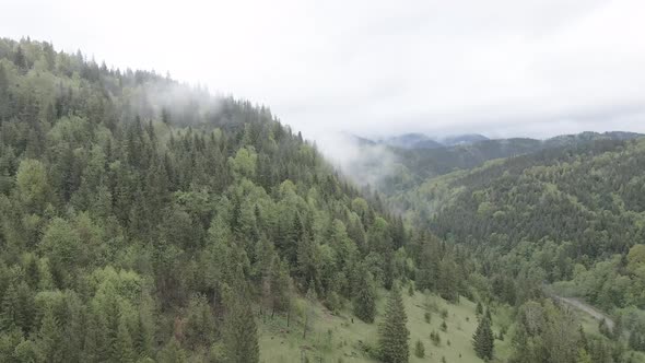 Landscape of the Carpathian Mountains. Slow Motion. Ukraine. Aerial. Gray, Flat