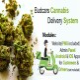 Budcars- Cannabis & Weed Delivery System - CodeCanyon Item for Sale