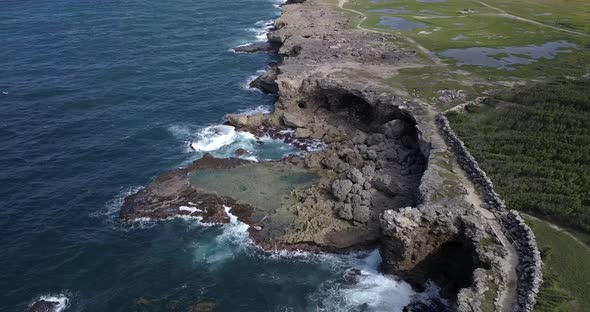 Nature Landscapes Of Barbados