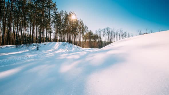 Time Lapse Timelapse Timelapse Of Sunlight And Moving Shadows On Forest Snow