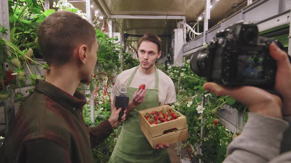 Nursery Worker With Strawberries Giving Interview