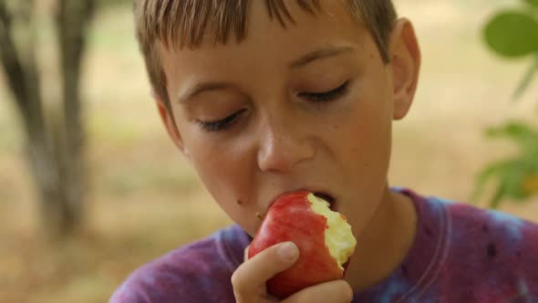 Boy eating apple on farm