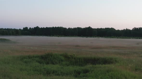 Aerial View of Fog in a Field with Lilac Flowers