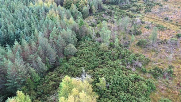 Flying Over Forest in County Donegal - Ireland.