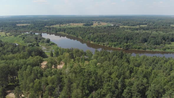 The Camera Flies Over the Coniferous Forest Towards the River