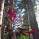 Dreamcatcher in the Forest - VideoHive Item for Sale