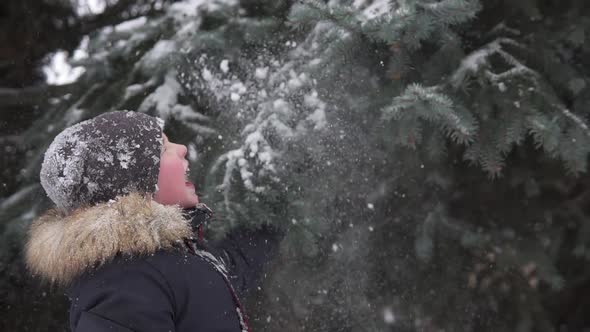 Happy child cowards snow from tree branches. The joy of the winter season in the family circle.