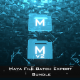 Maya Batch Export Bundle - 3DOcean Item for Sale