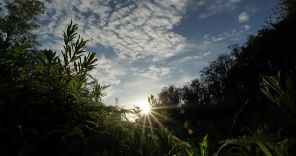 4K - Sunrise Timelapse