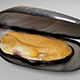 Mussel 3d Model - 3DOcean Item for Sale