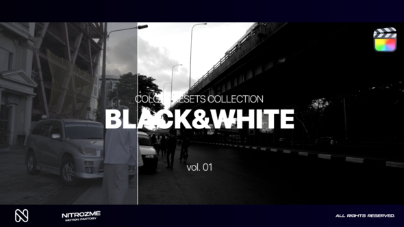 Black and White LUT Collection Vol. 01 for Final Cut Pro X alt
