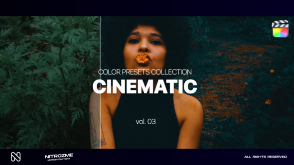 Cinematic LUT Collection Vol. 03 for Final Cut Pro X alt