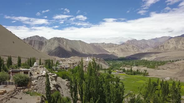 Village in Ladakh India. Stunning Himalayan Landscape, flying through trees