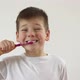 Kid Boy Brushing His Teeth Using Tooth Brush and Oral Paste Cleaning Teeth - VideoHive Item for Sale