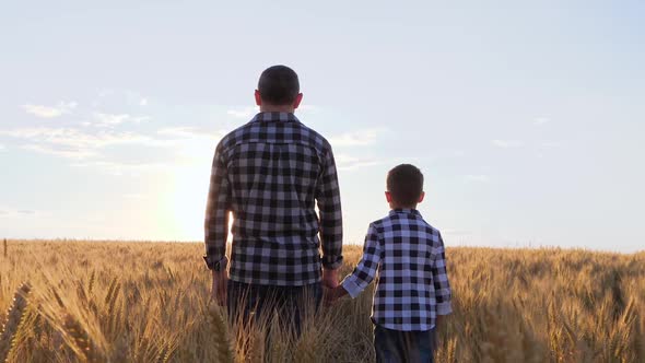 Father and son hold hands and watch the sunset in a wheat field.