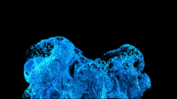 Large Particle Flow in Liquid