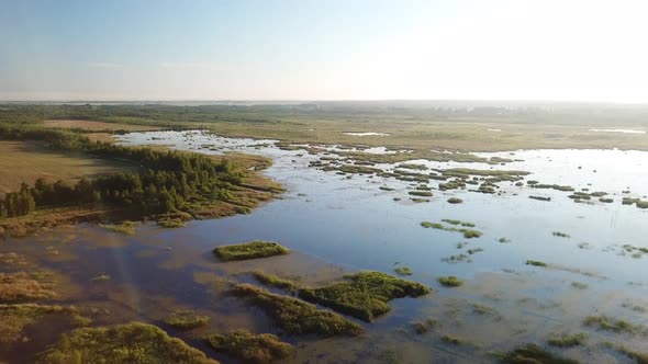 Swamp Near The Village Of Sverdlovo 01