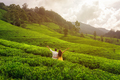 Green Tea Fields in Mountains with Carefree Couple of Travelers During Travel to Sri Lanka - PhotoDune Item for Sale