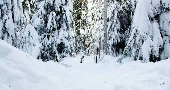 Woman snowboarding through forest 4k