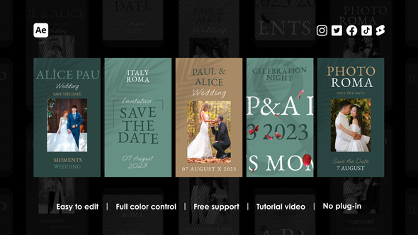 Romantic Wedding Instagram Reels alt