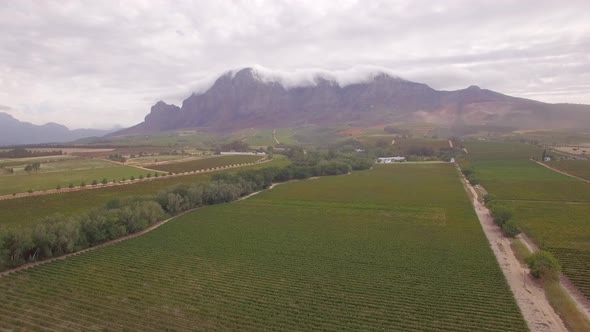 Aerial travel drone view of a dirt road and grape vineyard farms in South Africa.