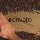 Coffee Logo Reveal - VideoHive Item for Sale