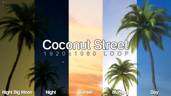Coconut Street Background