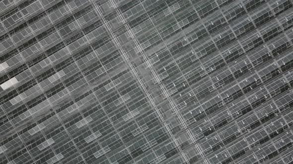 Glass roof of greenhouses from a height