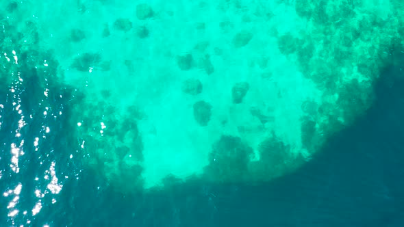 Corals in Clear Blue Sea Water
