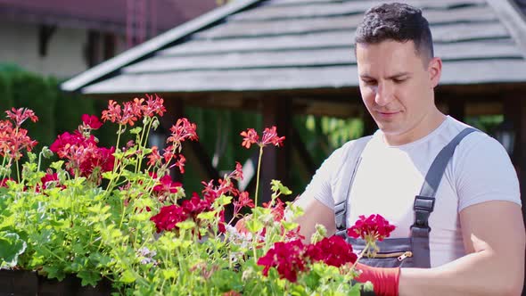 Handsome Caucasian Man in Tshirt Taking Care of Plants at Sunny Day