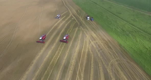 Topdown View of Harvesters Working in a Wheat Field