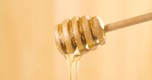 Liquid Organic Honey Flowing from a Honey Dipper on a Light Background