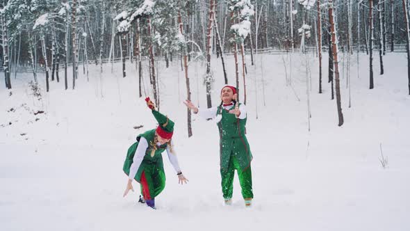 Funny Elves Throwing Up Snow