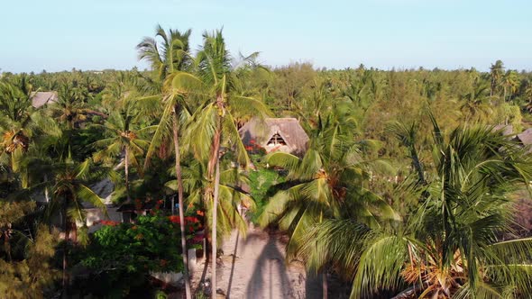 Aerial View African Tropical Beach Resort ThatchedRoof Hotels Pools Zanzibar