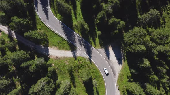 Bird's Eye View of Winding Road By Dolomites with Forest Trees on Both Sides