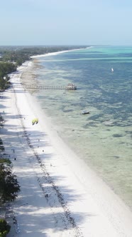 Vertical Video of the Ocean Near the Coast of Zanzibar Tanzania