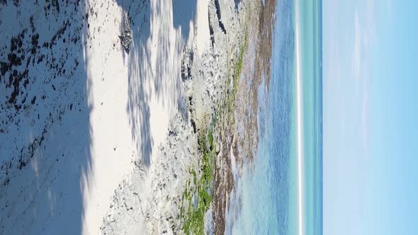 Vertical Video Empty Beach on Zanzibar Island Tanzania Aerial View