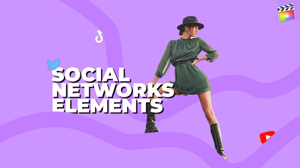 Social Networks Elements