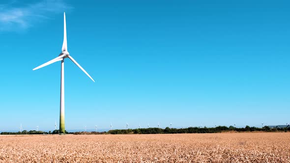 Electricity Wind turbines in a field of ripe and ready to harvest wheat