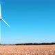Electricity Wind turbines in a field of ripe and ready to harvest wheat - VideoHive Item for Sale