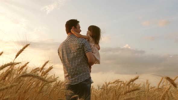 Little Daughter in the Arms of Father. Happy Child and Father Are Playing in Field of Ripening Wheat