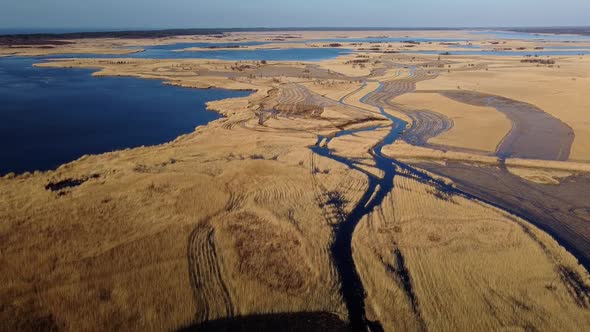 Aerial view of the lake overgrown with brown reeds, lake Pape nature park, Rucava, Latvia, sunny spr