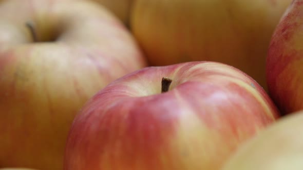 Malus pumila domestica fresh fruit background tilting 4K 2160p UHD  footage - Close-up of healthy or