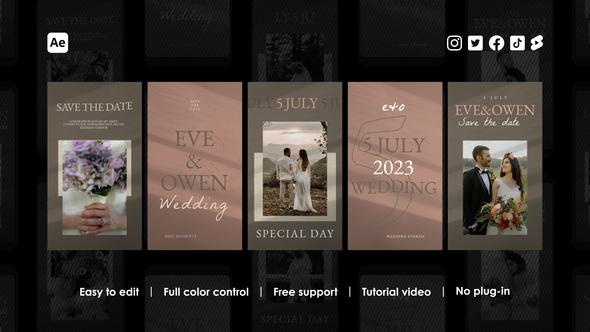 Wedding Instagram Stories alt