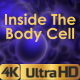 Inside The Body Cell - VideoHive Item for Sale