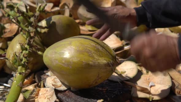 Close Up Shot Young Man Cutting Ripe Green Coconut Into Two Halves with Sharp Machete on the Ground